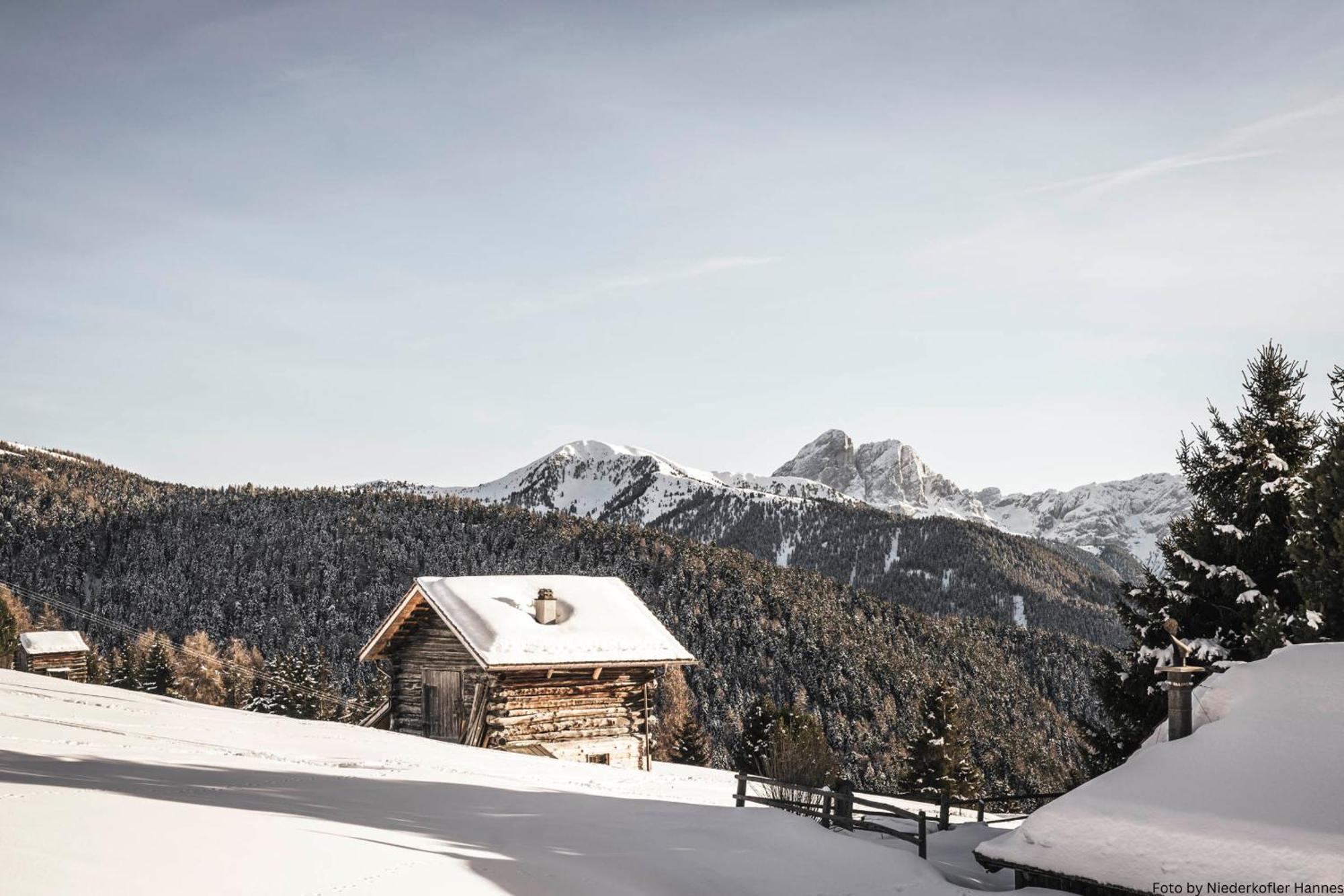 Grosskarnaiderhof Appartements-Bauernhof-Natur Pur Luson Exteriér fotografie